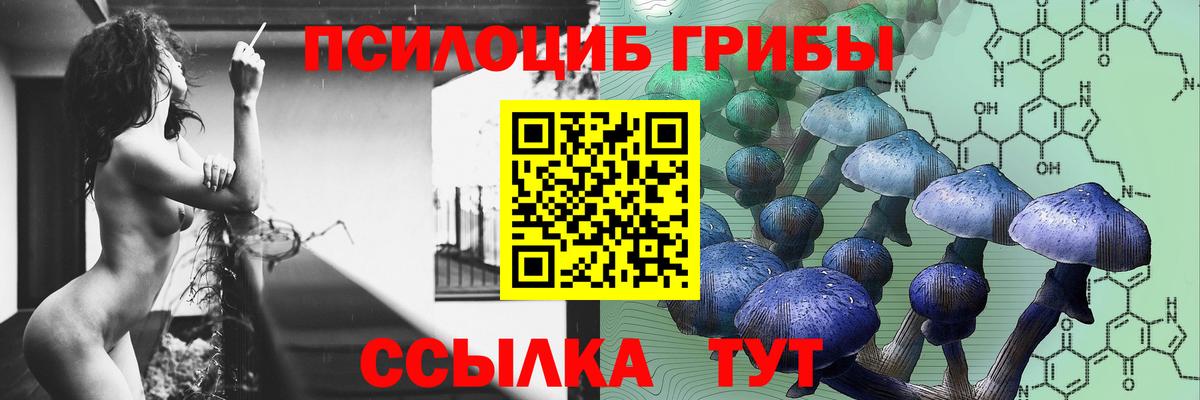Псилоцибиновые грибы прущие грибы Киров